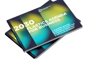 Ellen McArther Foundation’s 2030 Plastics Agenda for Business
